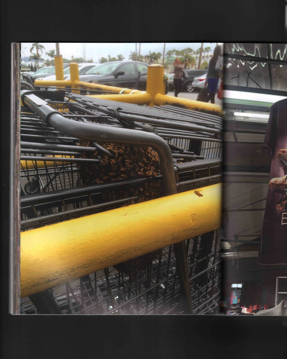 Lonley City + Print (Signed)