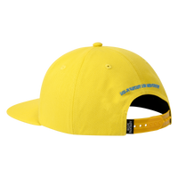 Pegasus Hat