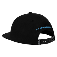 Pegasus Hat