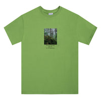 
            
              Forest Tee
            
